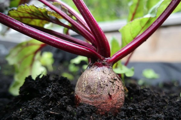 Wie kann man einen zeitlosen Garderobenstil zusammenstellen?