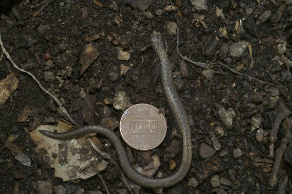 Was sind die Vorteile eines Immobilienfonds im Vergleich zum Direktkauf?