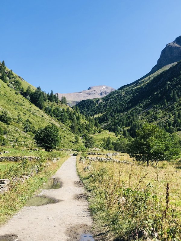Welche natürlichen Materialien eignen sich am besten für eine gesunde Kinderzimmergestaltung?